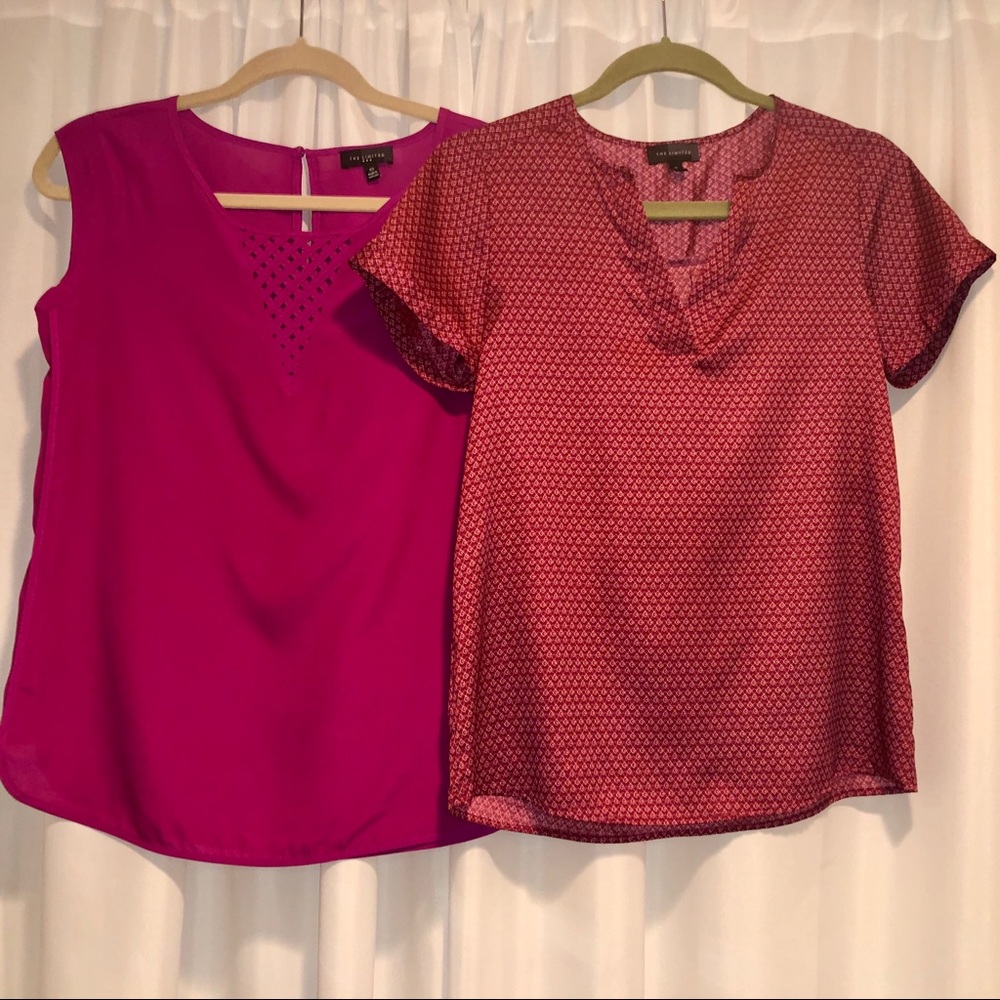 TWO Dress Tops from The Limited